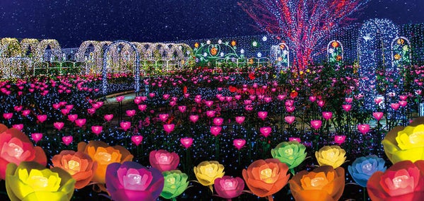 【東京都内発※町田を除く】 日本が世界に誇る”500万球の光と花の芸術” あしかがフラワーパークイルミネーション&相田みつをも愛した蕎麦屋「めん割烹なか川」で昼食 日帰り3